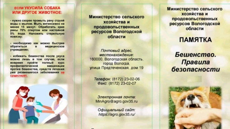 Памятка Бешенство. Правила безопасности 1